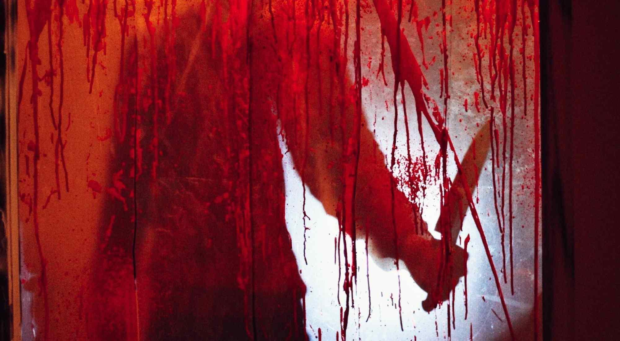 квест Маньяк-коллекционер в Санкт-Петербурге фото 2