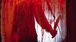 квест Маньяк-коллекционер в Санкт-Петербурге фото 2